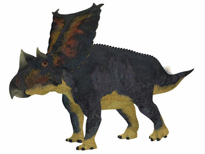 Chasmosaurus 恐龙侧面轮廓