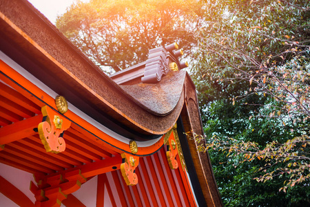 日式神社红顶寺与秋季枫树特写