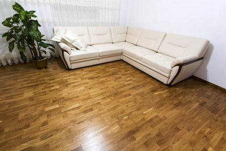 实木镶木地板新米色大沙发
