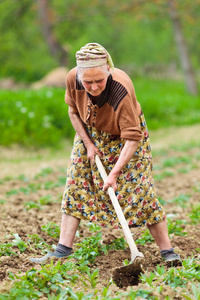 在土地上工作的老农村妇女