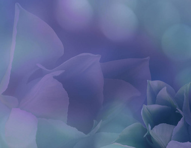 花郁金香在模糊的紫色绿松石背景散。紫色花朵郁金香花拼贴画。花组成。性质