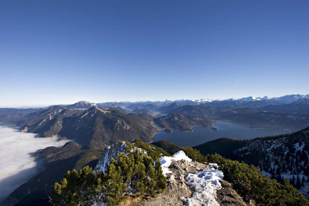 看法从 Herzogstand 山在 Walchensee 湖上部巴伐利亚德国