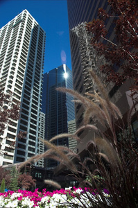 摩天大楼 skyscraper的名词复数  层楼高耸 广厦高楼
