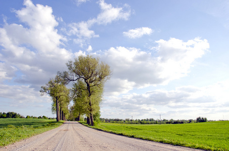 乡村道路景观