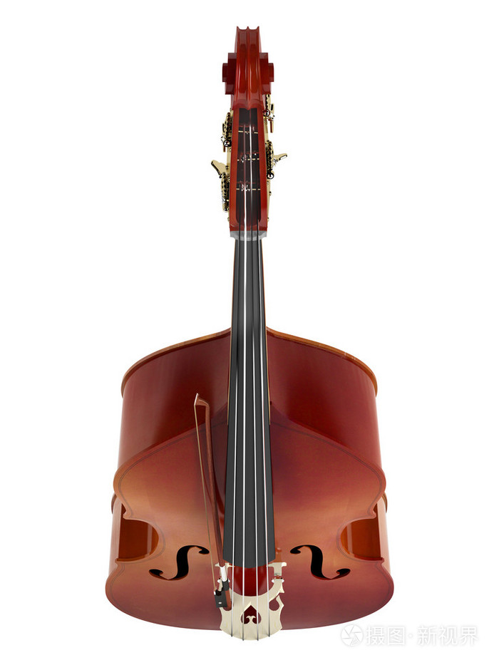 低音提琴