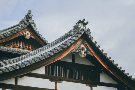 阴雨天的白河村与日本老式复古风格的房子传统民居屋顶在白川村的冬季