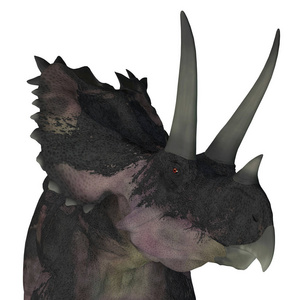头足目agujaceratops 是一种草食角恐龙, 生活在美国得克萨斯州, 在