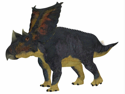 Chasmosaurus 是一种草食角恐龙, 住在加拿大阿尔伯塔省, 在白垩纪期间