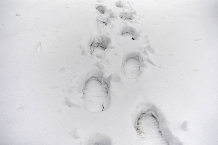 雪地里的脚印第一场雪上的脚印印记的