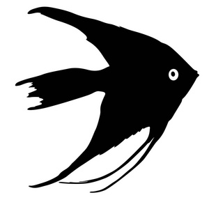 白色背景下水族鱼的黑色剪影图片