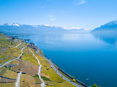 历史建筑背景