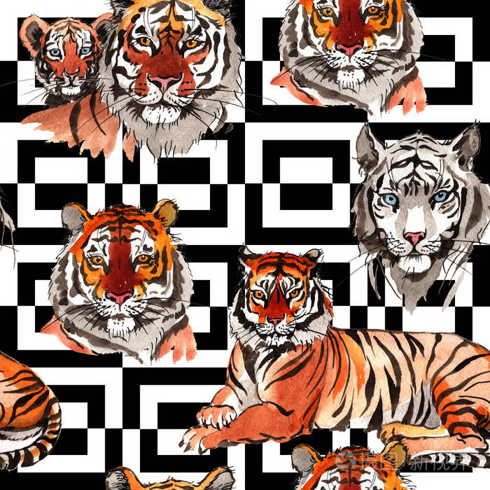 异域风情虎纹