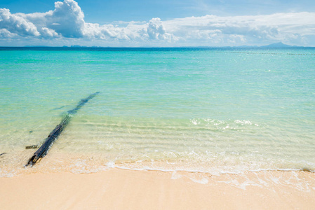 老日志在安达曼海海, 美丽的自然背景, Thaila