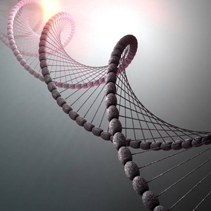 3d. 核酸或 dna 链的图示