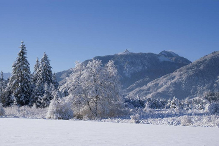 雪覆盖的冬天风景与山 Hrnle 在 Murnauer Moos 荒原在 Murnau 上部巴伐利亚附近德国