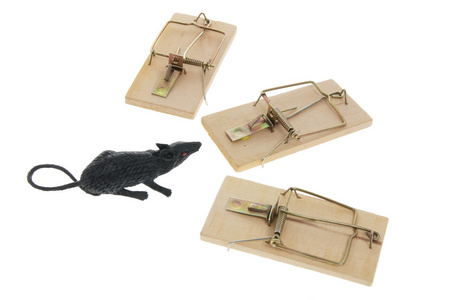 玩具老鼠和捕鼠器照片