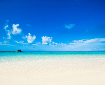 马尔代夫热带海滩自然景观图片