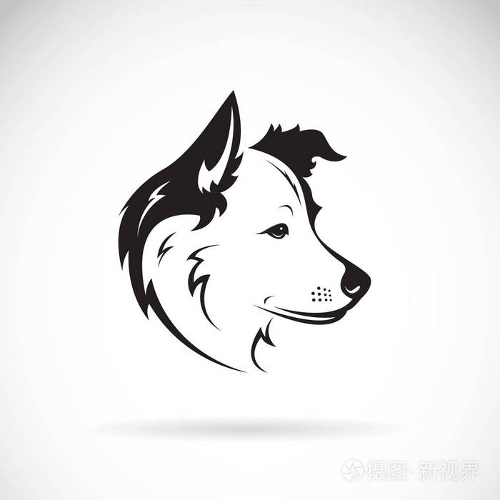 宠物动物插画-正版商用图片02nfx6-摄图新视界