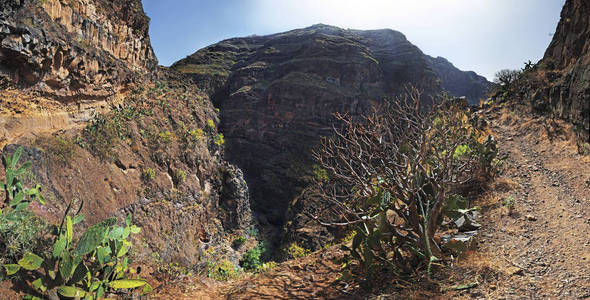 全景与足迹, 巴兰科 de Guarimiar 的峡谷, La 层, 加那利群岛, 西班牙, 欧洲