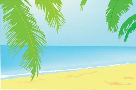 夏季背景。 有棕榈树的海滩