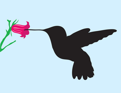 抽象背景. 嗡嗡鸟的剪影照片