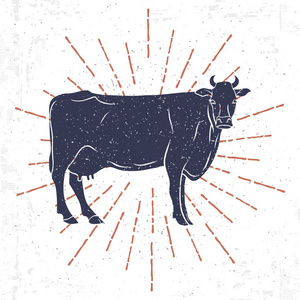 牛剪影与老式森伯斯特隔离在白色背景.矢量照片