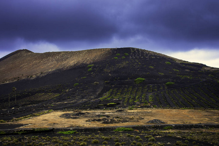 火山 La 日冕和葡萄谷兰萨罗特, 加那利群岛, 西班牙