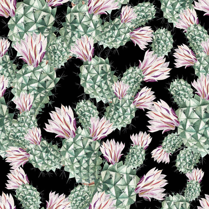 仙人掌水彩图案