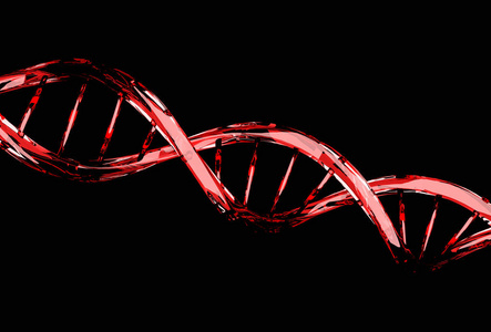 黑色的红色 Dna 分子结构