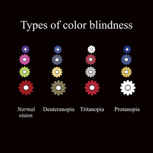 类型的色盲。眼睛颜色感知。在黑色背景上的矢量图