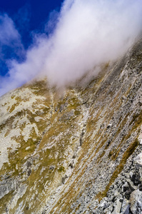 高 Tatra 视图