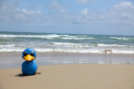 海边的蓝色玩具鸟