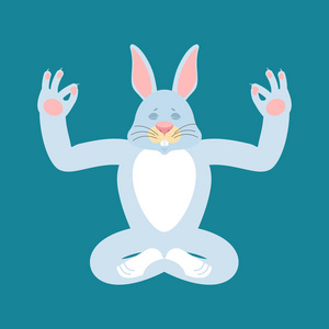 兔子瑜伽野兔瑜伽分离。动物放松和 meditatio