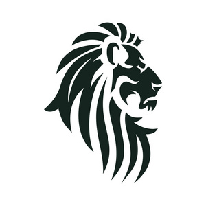 矢量狮子头像照片