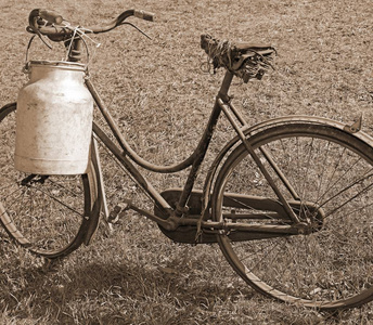 挤奶自行车用斌为牛奶运输棕褐色效果