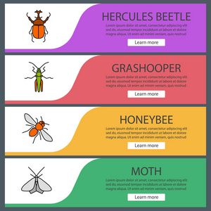 昆虫 web 横幅模板设置。赫拉克勒斯甲虫, 蚱蜢, 蜜蜂, 蛾。网站颜色菜单项。矢量头设计概念