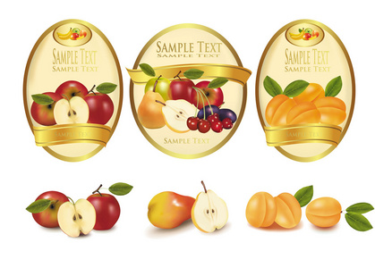 黄金标签与不同种类的水果。矢量