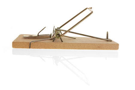 老鼠斗老鼠夹图片