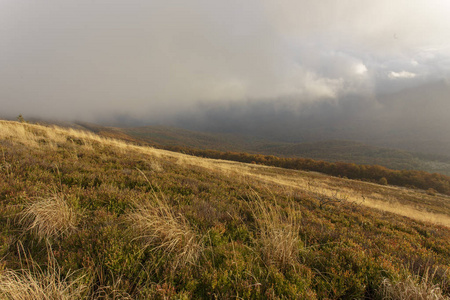 Bieszczady 山脉波兰喀尔巴阡山