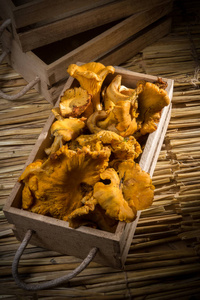 Girolle 蘑菇在一个箱子在秸杆背景