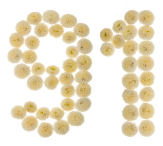 阿拉伯数字 91, 九十一, 从奶油花的 chrysanthem照片