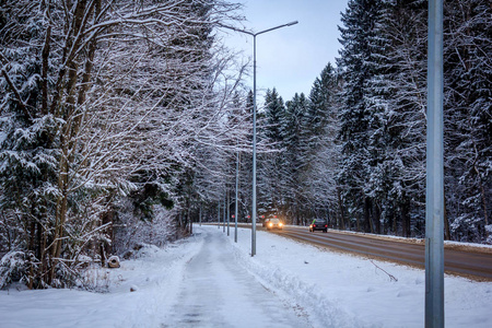 严寒冬日 roadswinter 路