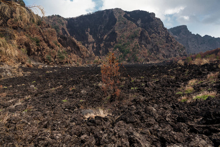 埃尔克拉诺，意大利火山维苏威火山