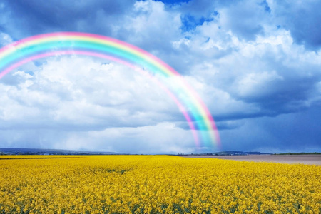 田野彩虹田野和天空中的彩虹照片