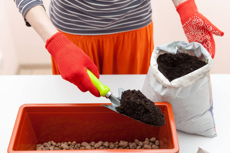 女人双手戴着手套, 把泥土倒进一个塑料容器里。种植番茄和胡椒粉在土壤中的制备