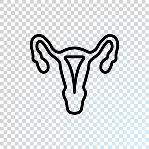女性生殖器官平面图标, 矢量, 插图