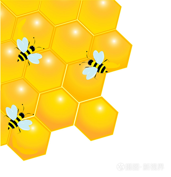 与蜜蜂被隔绝在白色光泽蜂窝插画-正版商用图片02ox8e-摄图新视界