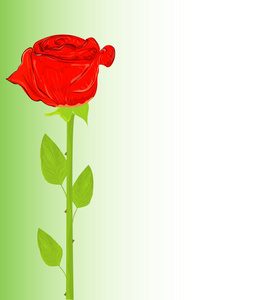 美丽的红色玫瑰矢量插图