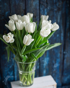 一束白色郁金香, 在一个木制蓝色背景的玻璃花瓶里.春天!新鲜!