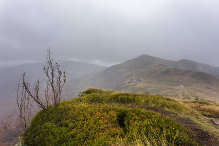 Bieszczady 山脉波兰喀尔巴阡山